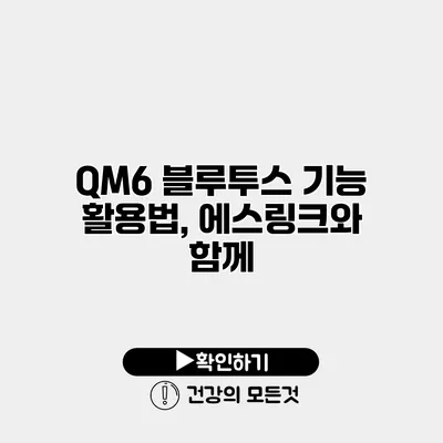 QM6 블루투스 기능 활용법, 에스링크와 함께