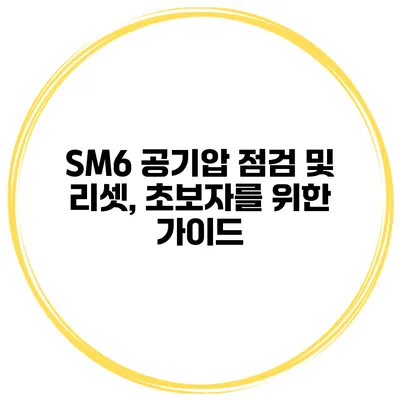 SM6 공기압 점검 및 리셋, 초보자를 위한 가이드