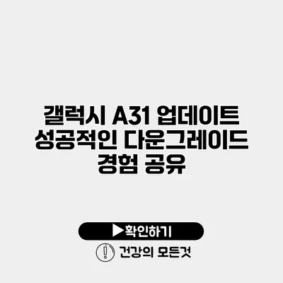 갤럭시 A31 업데이트 성공적인 다운그레이드 경험 공유