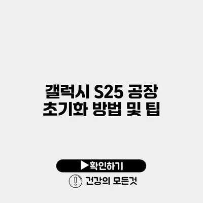 갤럭시 S25 공장 초기화 방법 및 팁