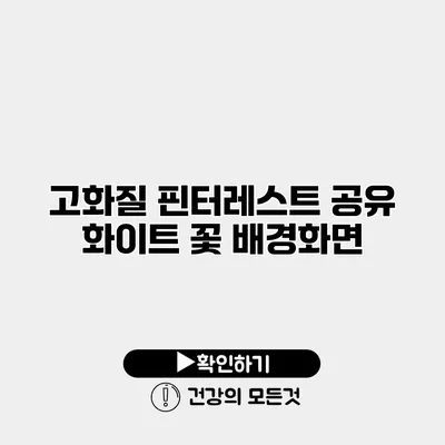 고화질 핀터레스트 공유 화이트 꽃 배경화면