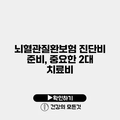 뇌혈관질환보험 진단비 준비, 중요한 2대 치료비