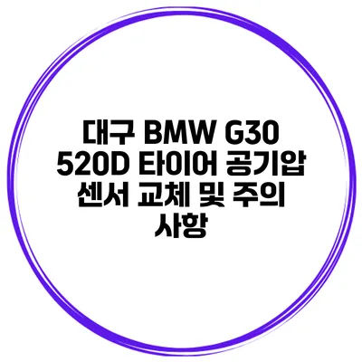 대구 BMW G30 520D 타이어 공기압 센서 교체 및 주의 사항