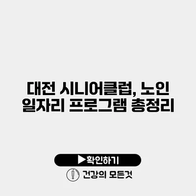 대전 시니어클럽, 노인 일자리 프로그램 총정리