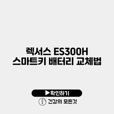 렉서스 ES300H 스마트키 배터리 교체법