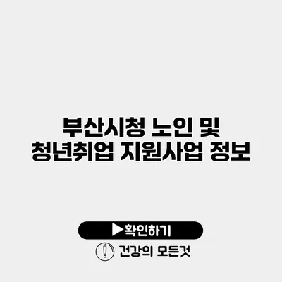 부산시청 노인 및 청년취업 지원사업 정보