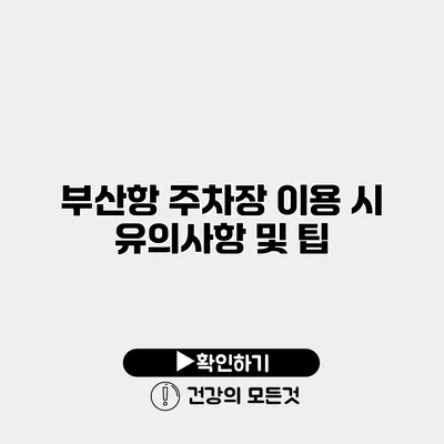 부산항 주차장 이용 시 유의사항 및 팁