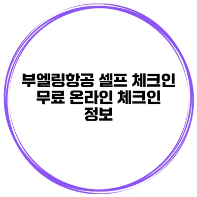부엘링항공 셀프 체크인 무료 온라인 체크인 정보