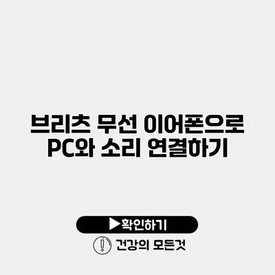브리츠 무선 이어폰으로 PC와 소리 연결하기