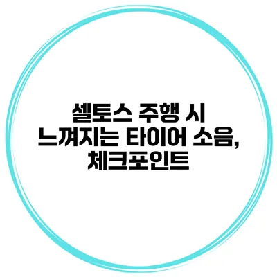 셀토스 주행 시 느껴지는 타이어 소음, 체크포인트