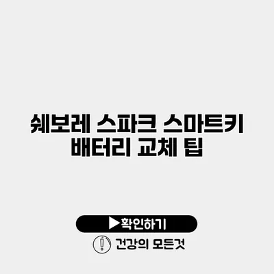 쉐보레 스파크 스마트키 배터리 교체 팁