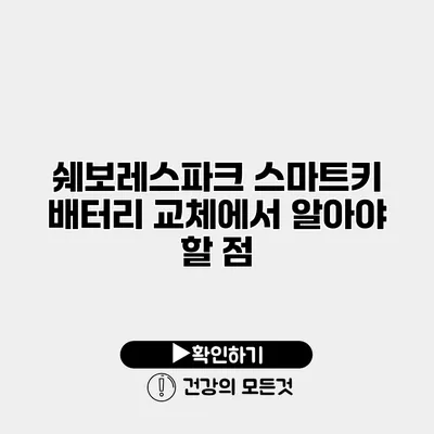 쉐보레스파크 스마트키 배터리 교체에서 알아야 할 점