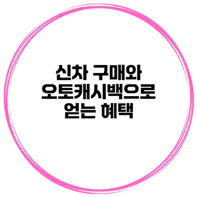 신차 구매와 오토캐시백으로 얻는 혜택
