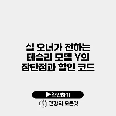 실 오너가 전하는 테슬라 모델 Y의 장단점과 할인 코드
