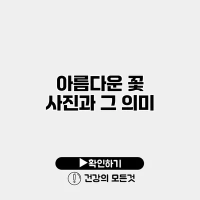 아름다운 꽃 사진과 그 의미
