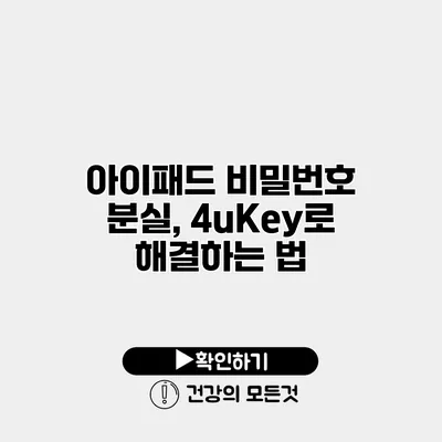 아이패드 비밀번호 분실, 4uKey로 해결하는 법