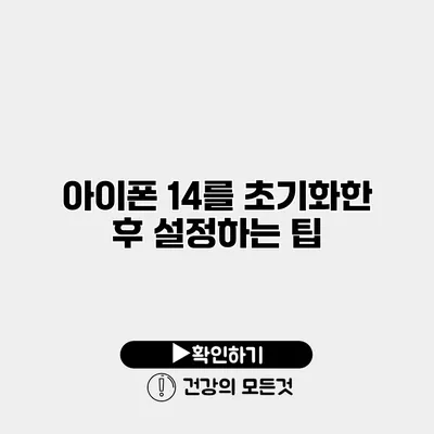 아이폰 14를 초기화한 후 설정하는 팁