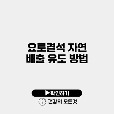 요로결석 자연 배출 유도 방법