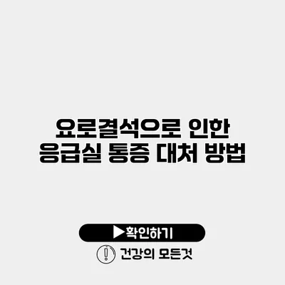 요로결석으로 인한 응급실 통증 대처 방법