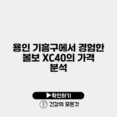 용인 기흥구에서 경험한 볼보 XC40의 가격 분석
