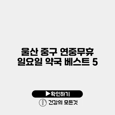 울산 중구 연중무휴 일요일 약국 베스트 5
