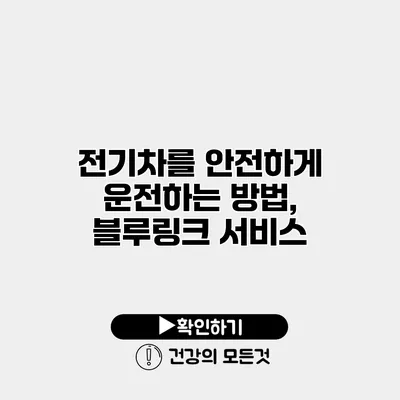 전기차를 안전하게 운전하는 방법, 블루링크 서비스