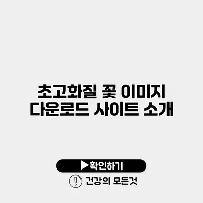 초고화질 꽃 이미지 다운로드 사이트 소개