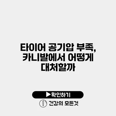 타이어 공기압 부족, 카니발에서 어떻게 대처할까?