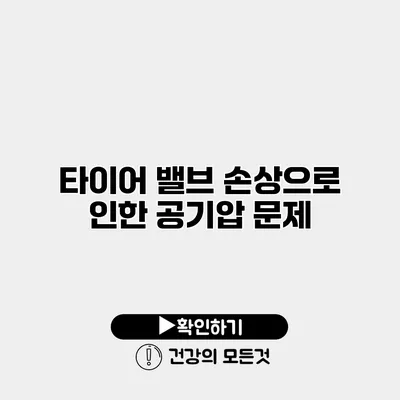 타이어 밸브 손상으로 인한 공기압 문제