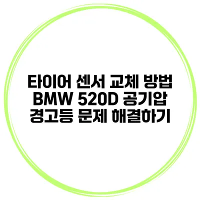 타이어 센서 교체 방법 BMW 520D 공기압 경고등 문제 해결하기