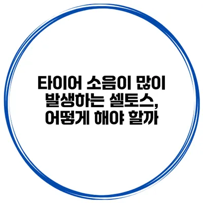 타이어 소음이 많이 발생하는 셀토스, 어떻게 해야 할까?