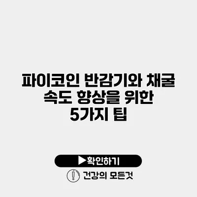 파이코인 반감기와 채굴 속도 향상을 위한 5가지 팁