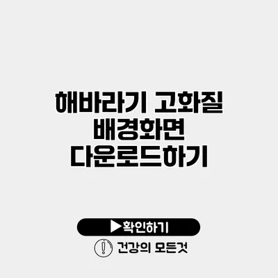 해바라기 고화질 배경화면 다운로드하기