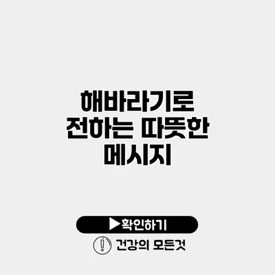 해바라기로 전하는 따뜻한 메시지