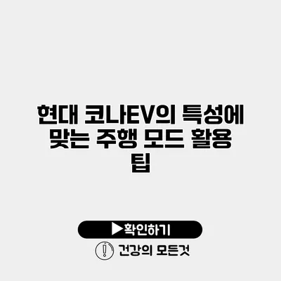 현대 코나EV의 특성에 맞는 주행 모드 활용 팁